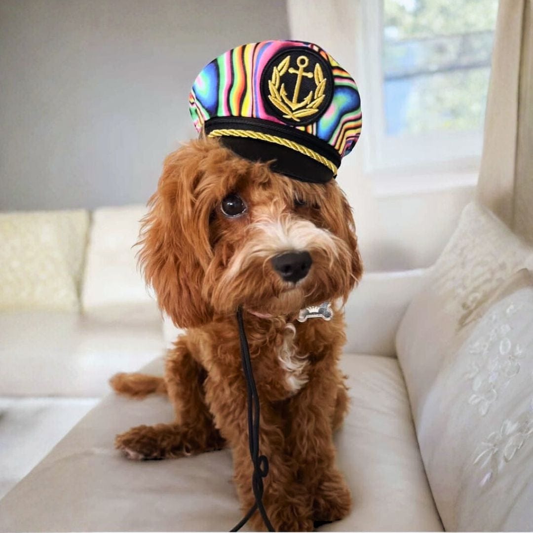 Trippy Captain Pet Captain Hat